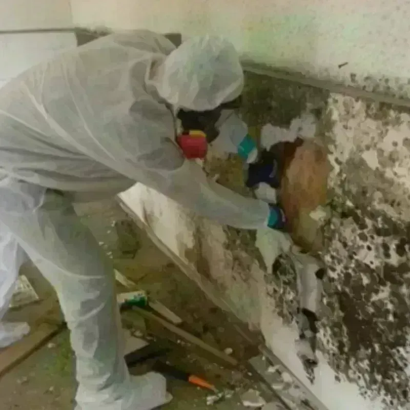 Mold Remediation and Removal in Garden City, GA