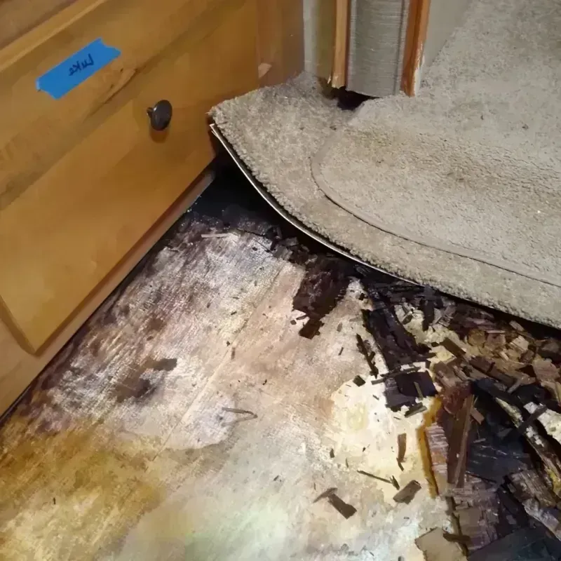 Wood Floor Water Damage in Garden City, GA